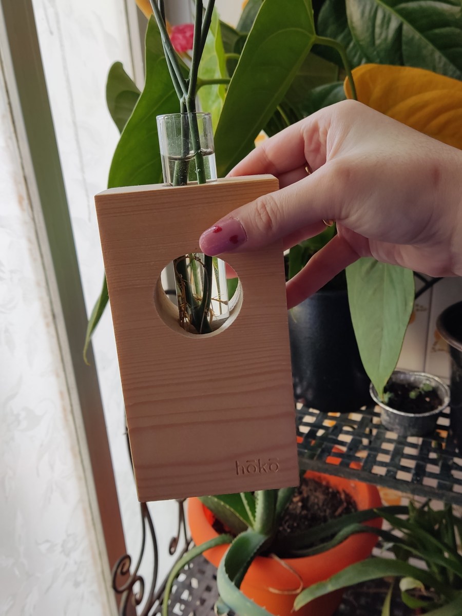 Αν είσαι 🌿plant person γνώρισε τα HoKo crafts |&nbsp;Lifestyle