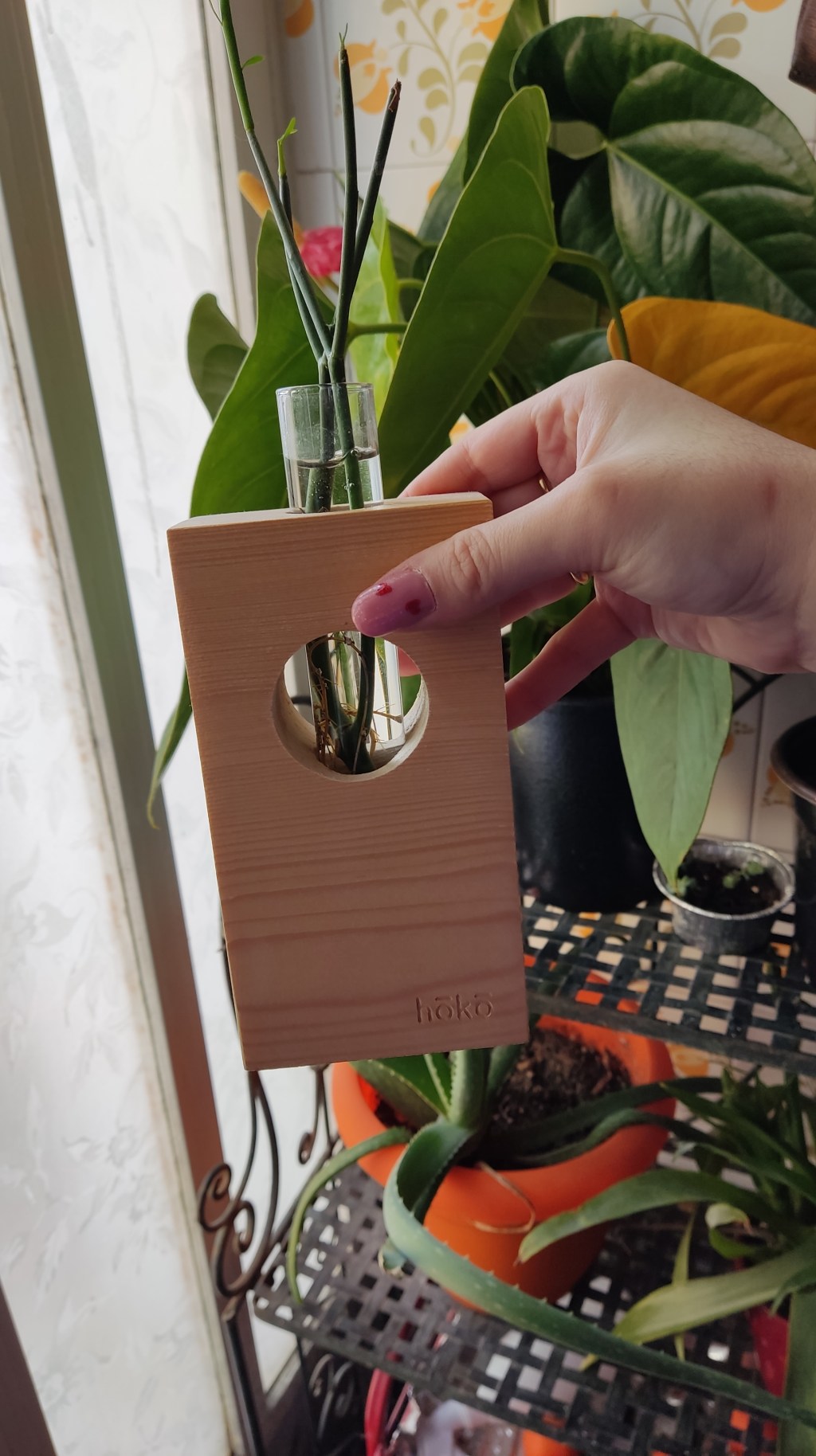 Αν είσαι 🌿plant person γνώρισε τα HoKo crafts |&nbsp;Lifestyle