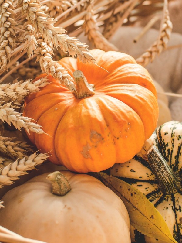 3 τρόποι να δώσεις Fall Aesthetic στο σπίτι σου | Mama&nbsp;Stalker