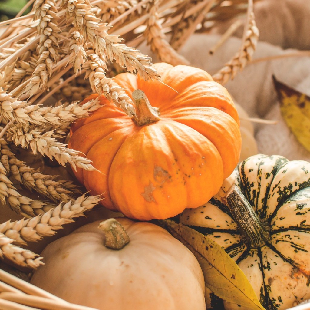 3 τρόποι να δώσεις Fall Aesthetic στο σπίτι σου | Mama&nbsp;Stalker