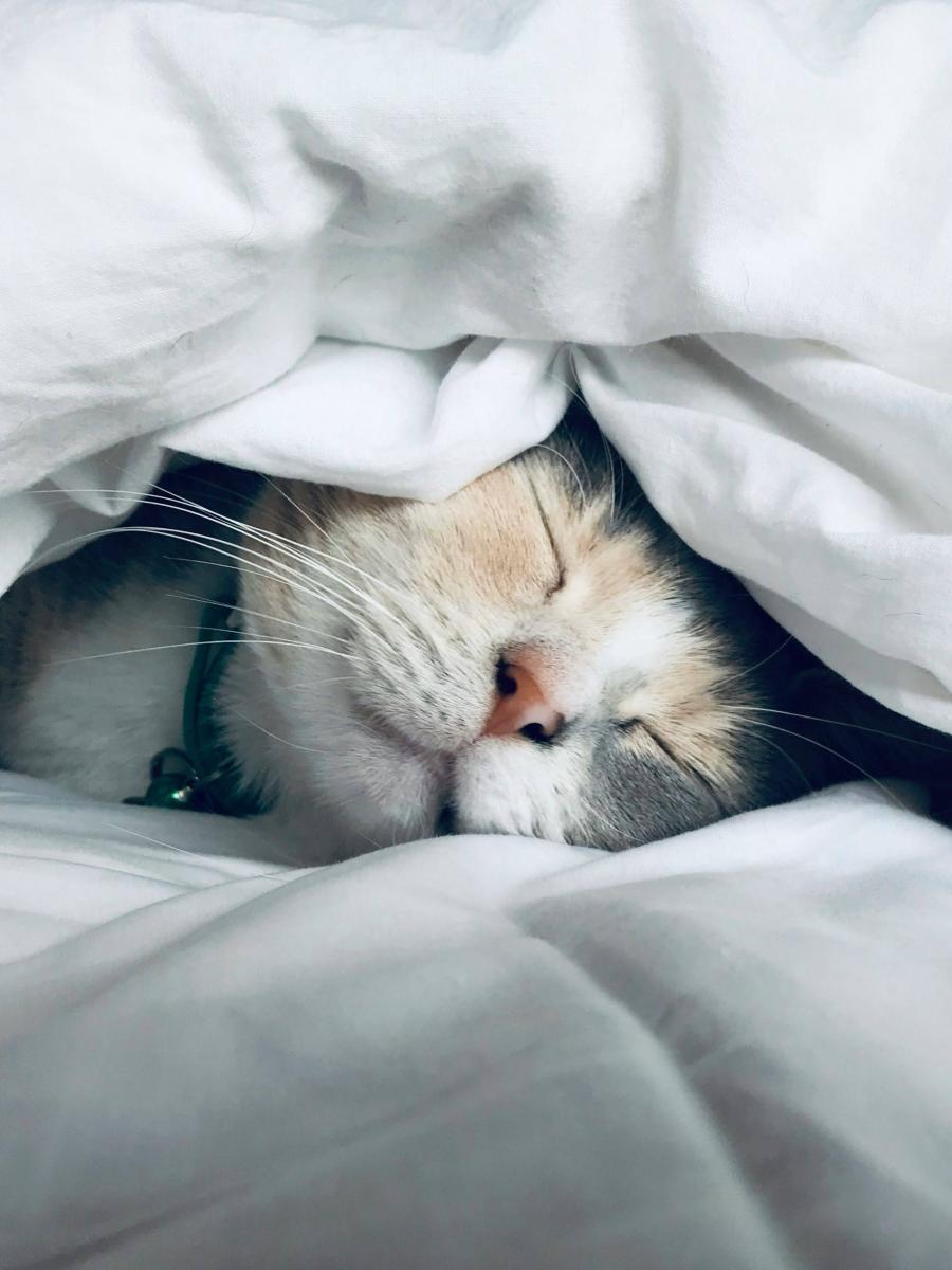 Πώς να είσαι πιο παραγωγική το πρωί | Mama&nbsp;Stalker