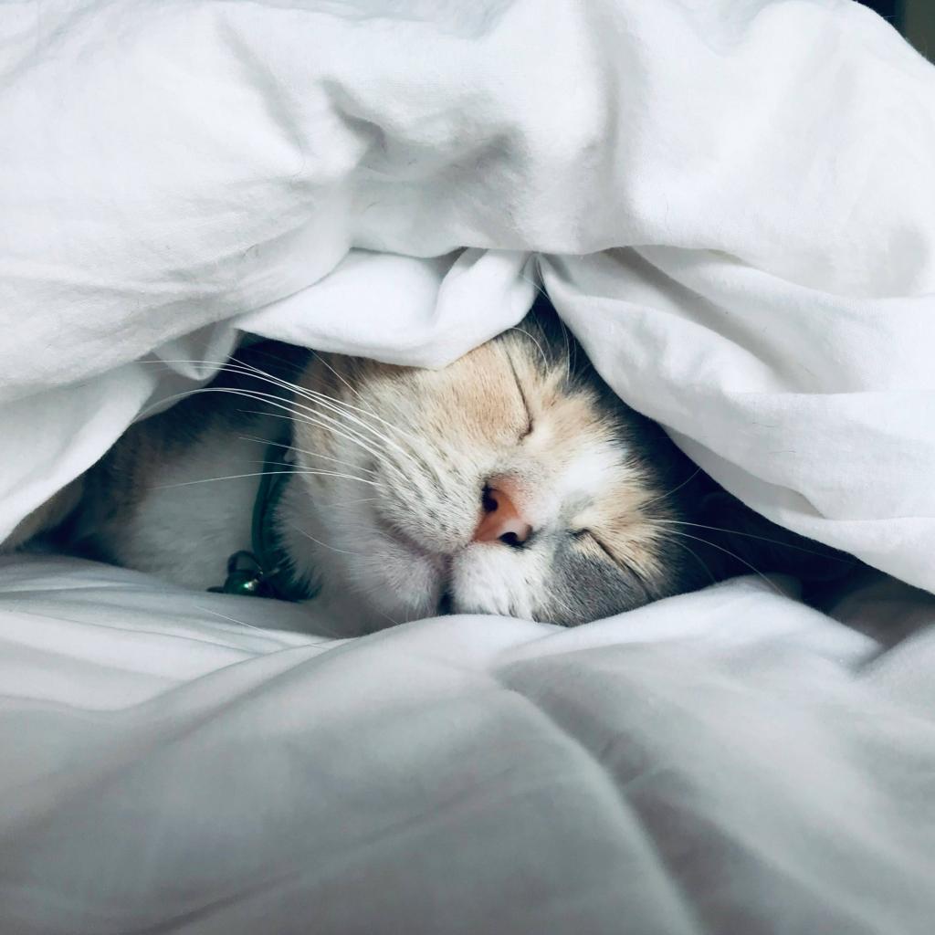 Πώς να είσαι πιο παραγωγική το πρωί | Mama&nbsp;Stalker