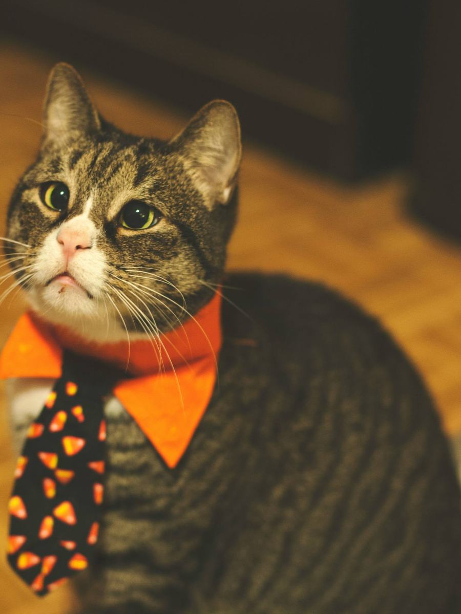 6 X-mas Outfits Inspo για να λάμψεις. |&nbsp;OOTD