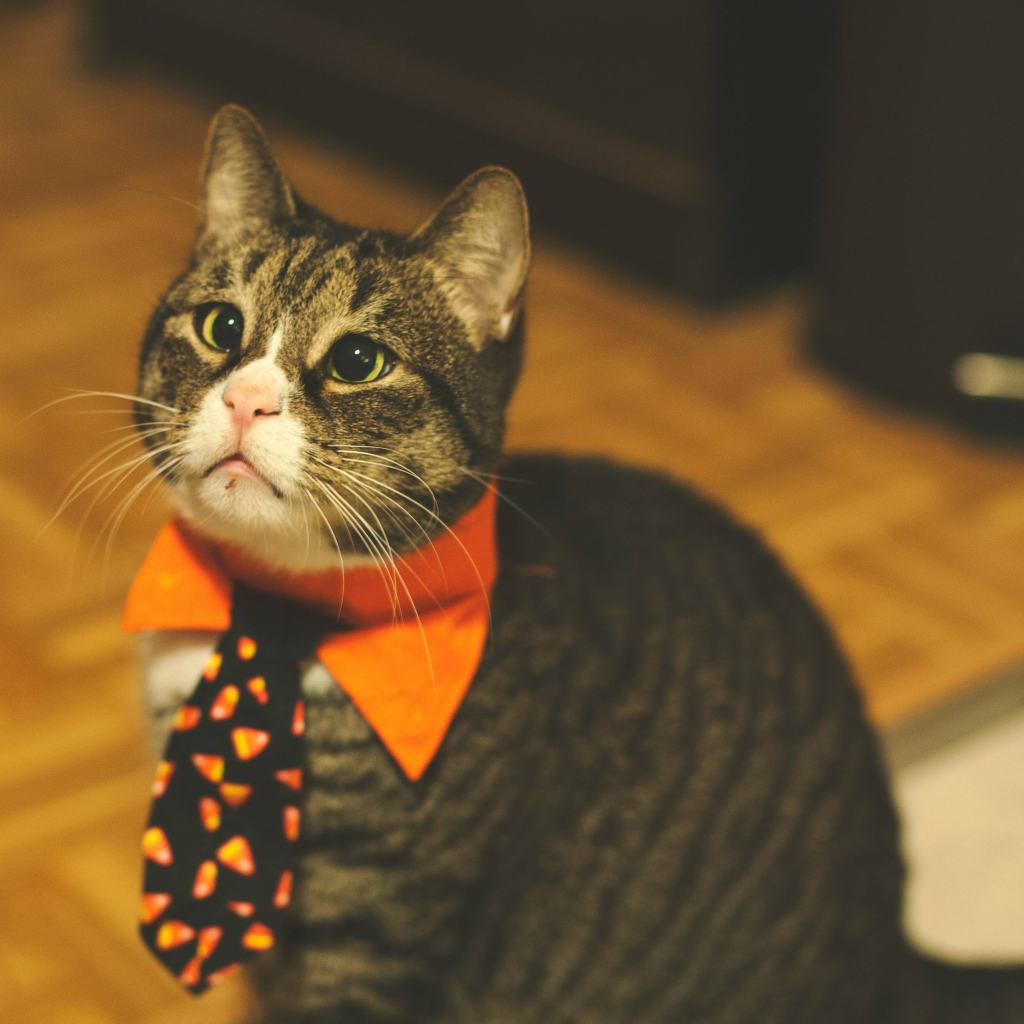 6 X-mas Outfits Inspo για να λάμψεις. |&nbsp;OOTD