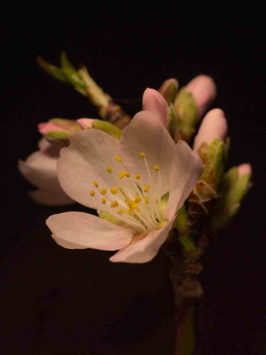 Γιατί κρύβουν την εγκυμοσύνη τους οι γυναίκες; |&nbsp;Motherhood