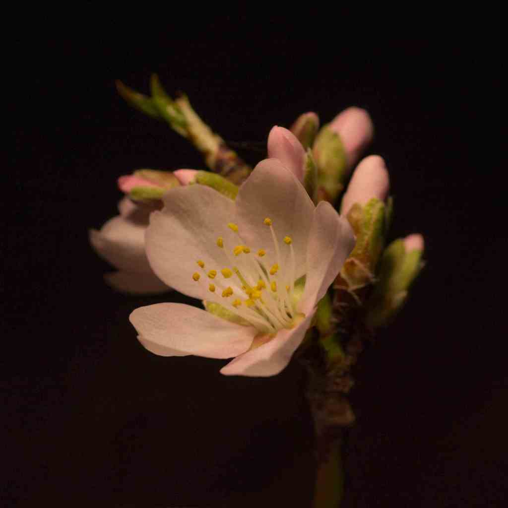 Γιατί κρύβουν την εγκυμοσύνη τους οι γυναίκες; |&nbsp;Motherhood